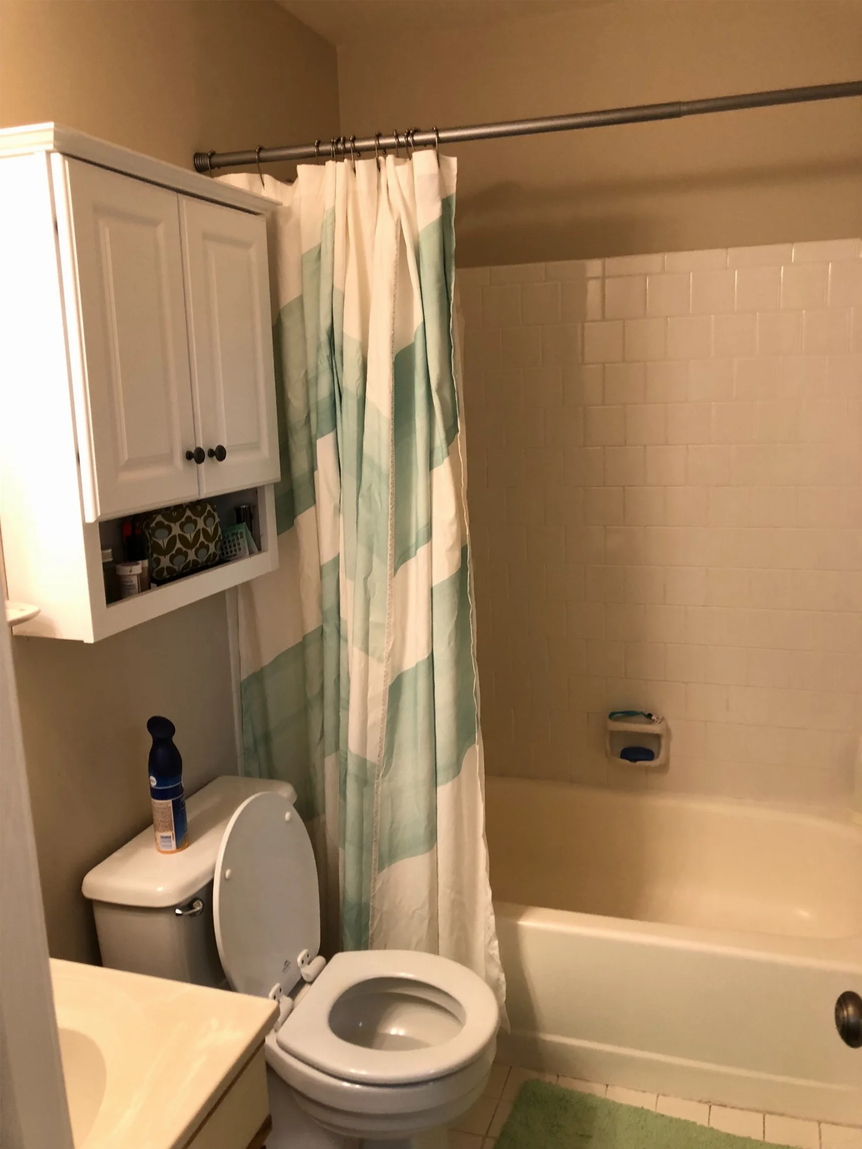 Before bathroom remodel