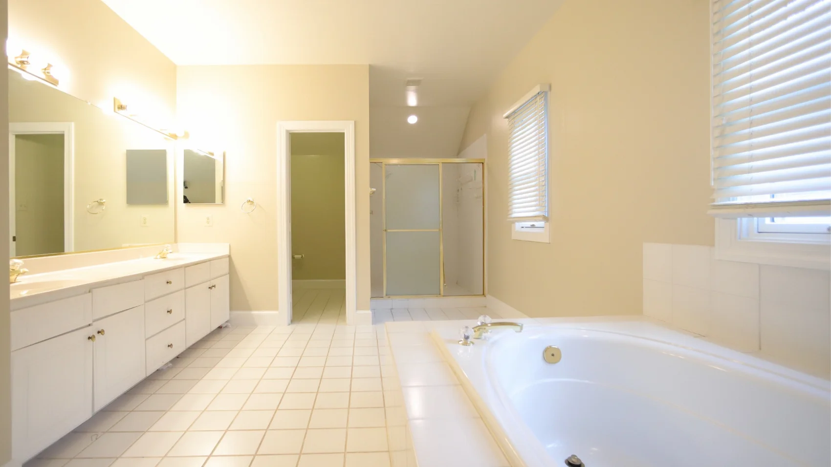 Before bathroom remodel