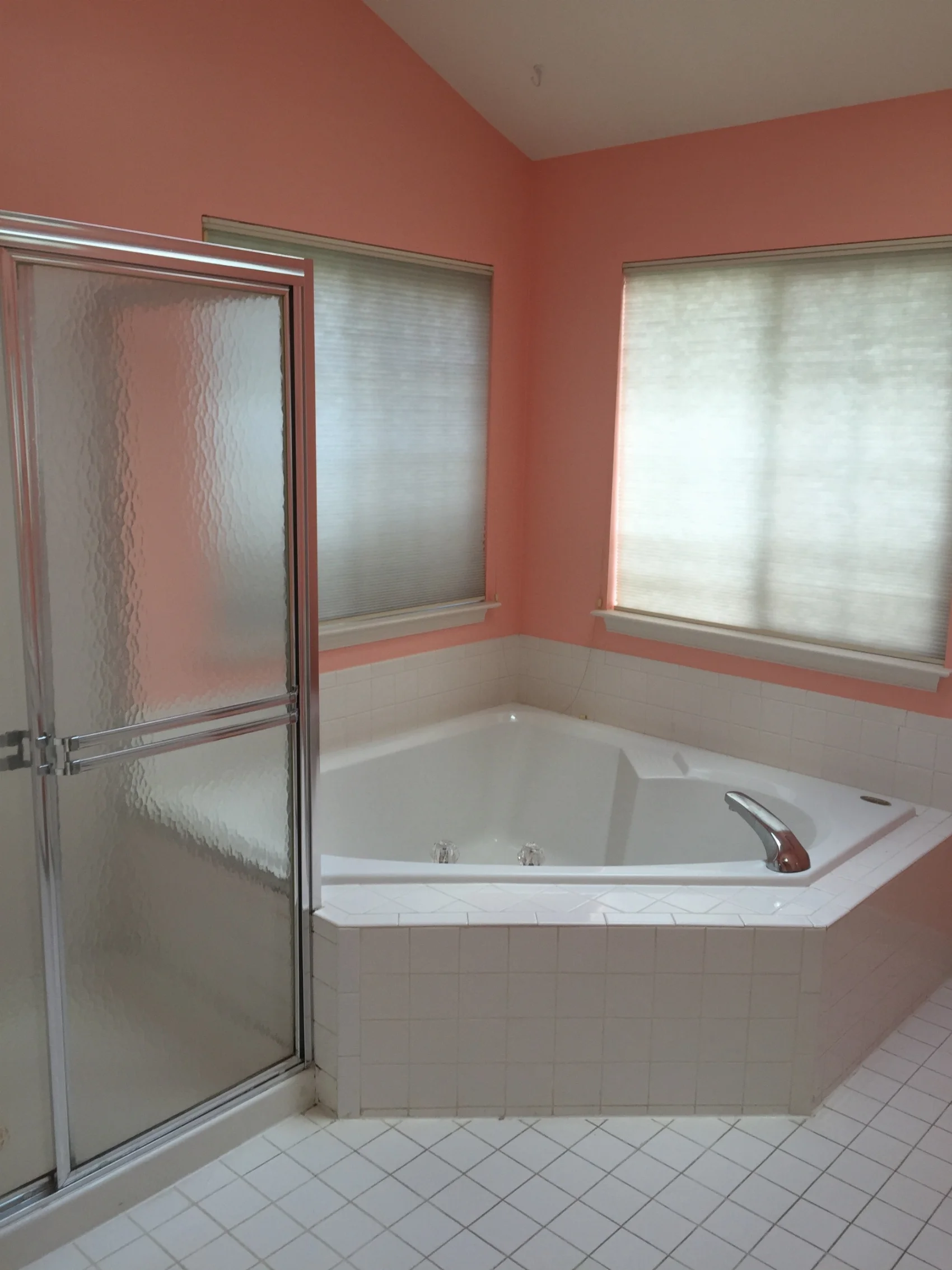 Before bathroom remodel