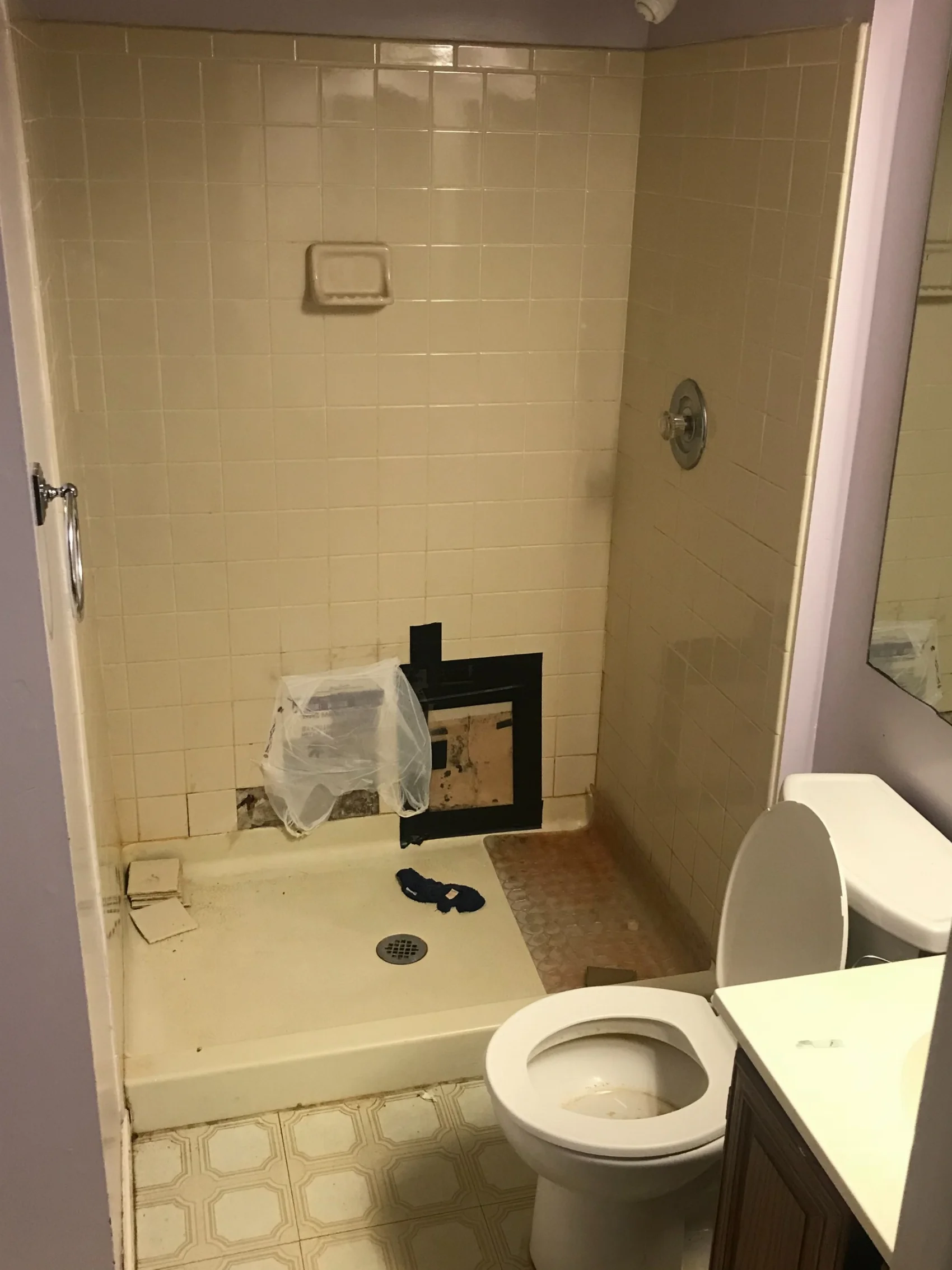 Before bathroom remodel