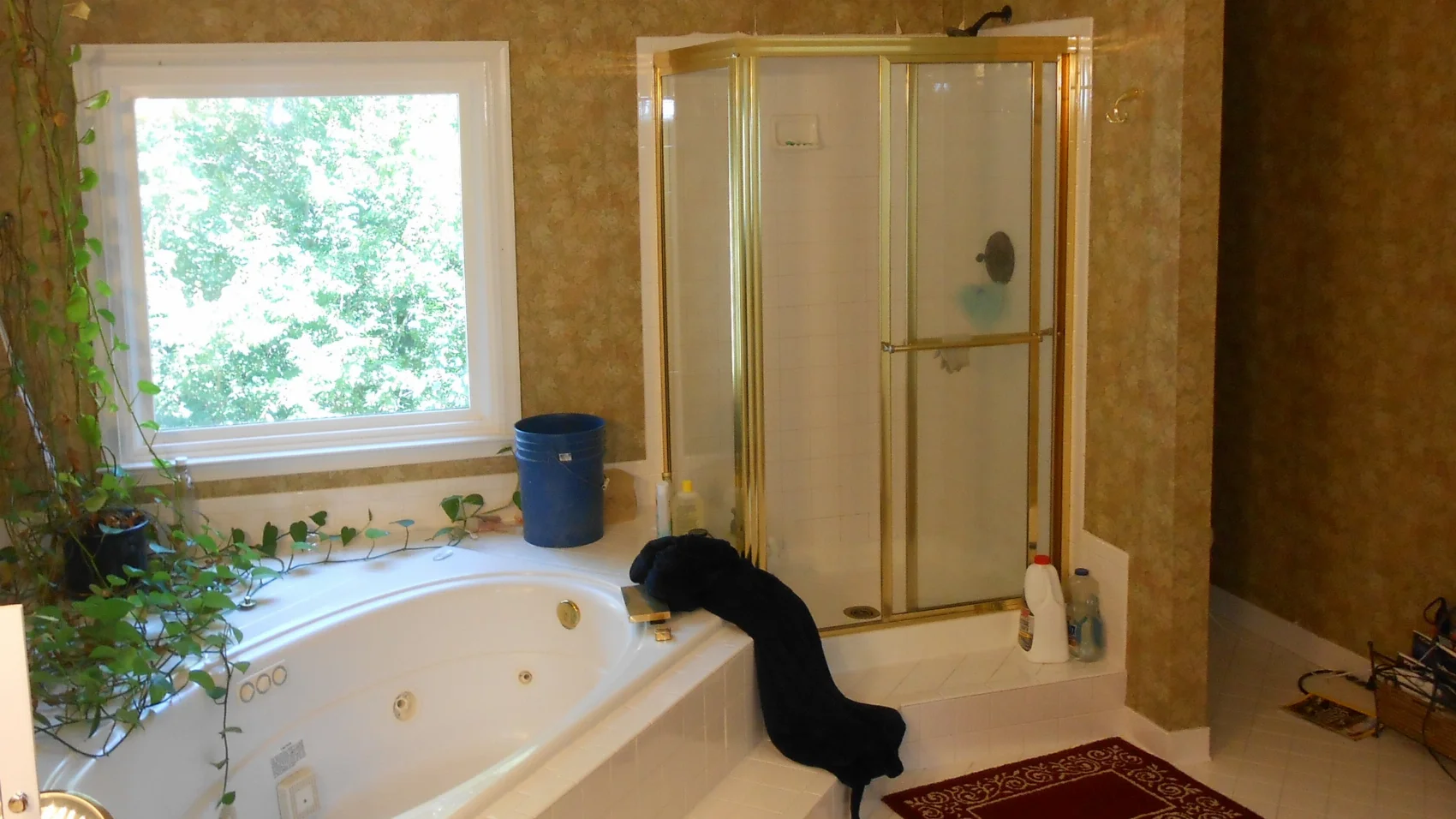 Before bathroom remodel
