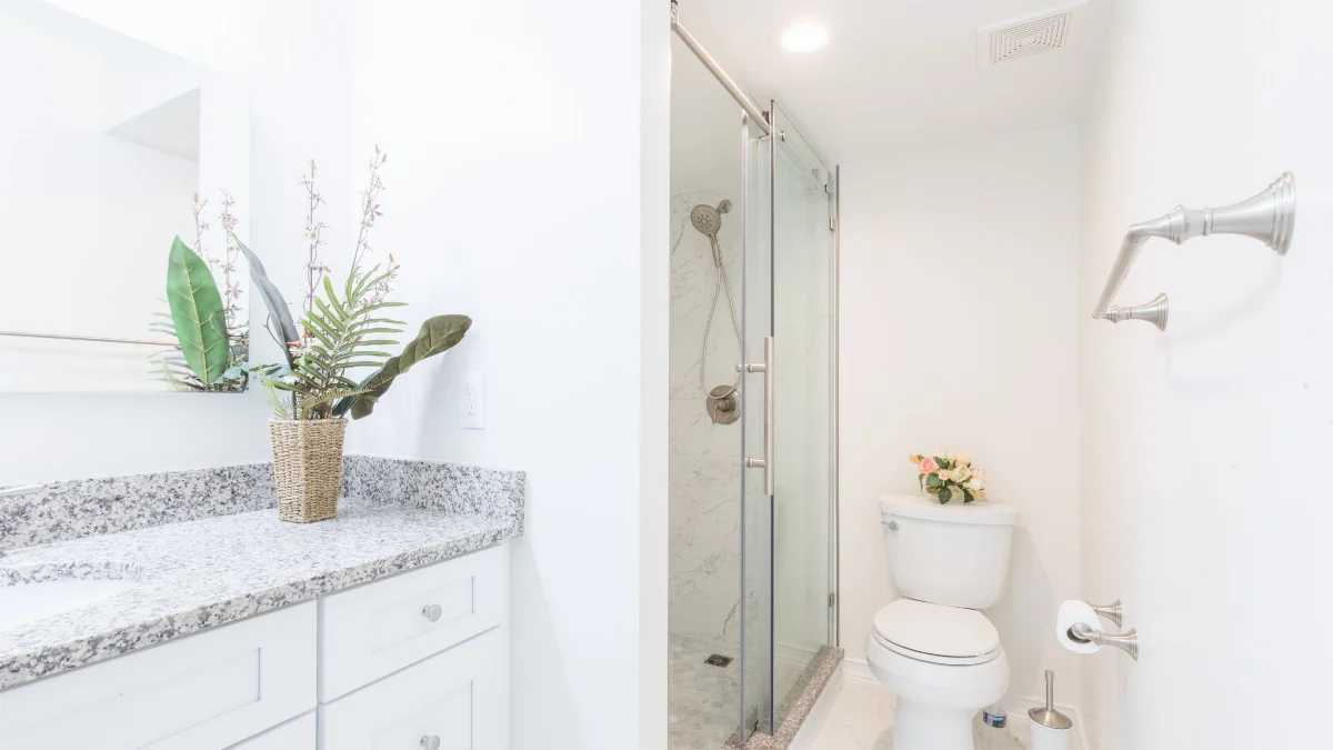 Mersedeh's Bathroom Renovation in McLean, VA