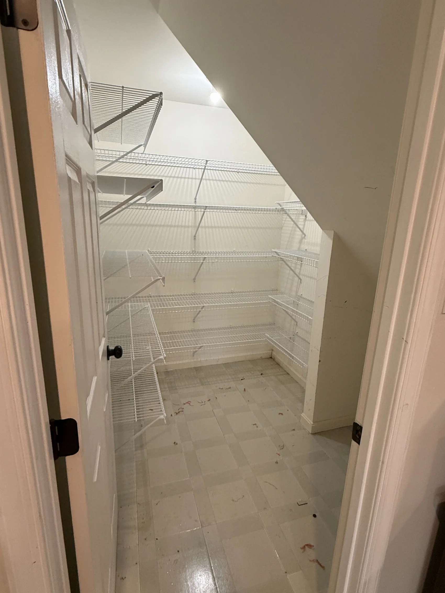 Before sauna remodel