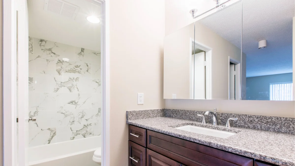 Sin's Bathroom Renovation in McLean, VA